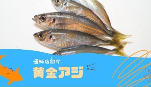 黄金アジフライの取り寄せはどこ？2023通販できるお店まとめ
